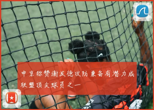 申京称赞谢泼德攻防兼备有潜力成联盟顶尖球员之一