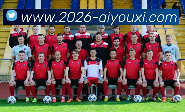 爱游戏体育发展历程