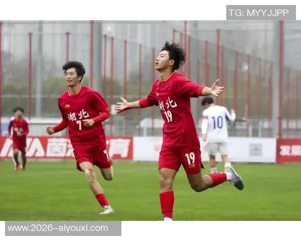 湖北足球发展迅速中超球员数量全国第三形成金字塔式竞赛体系 湖北足球发展迅速中超球员数量全国第三形成金字塔式竞赛体系